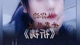 www91免费版官方版：鸡西市用户的最佳选择