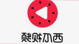 探寻鸡西市最新动态：91网站助力本地信息发布