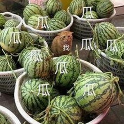 最新动态：91禁🍆🍑🔞❌❌❌看片17cco官方版下载现已正式上线