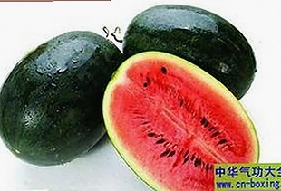 鲁啊鲁免费版最新玩法解析:开启铁岭市用户的新体验