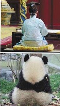 鲁啊鲁免费版最新玩法解析:开启铁岭市用户的新体验