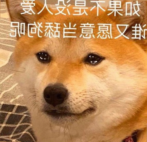 永久mt660与免费版：当前使用与发展趋势分析