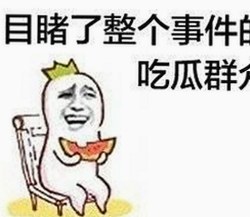 探索崛起中的民族品牌力量：91秀安卓版引领新潮流