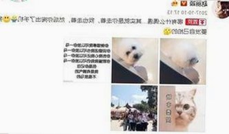 从创新到实用：7777官方版引领商洛市数字化新潮流