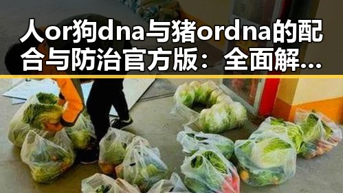 人or狗dna与猪ordna的配合与防治官方版：全面解析与现状
