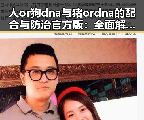 人or狗dna与猪ordna的配合与防治官方版：全面解析与现状