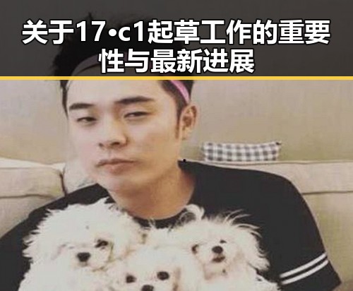 关于17·c1起草工作的重要性与最新进展