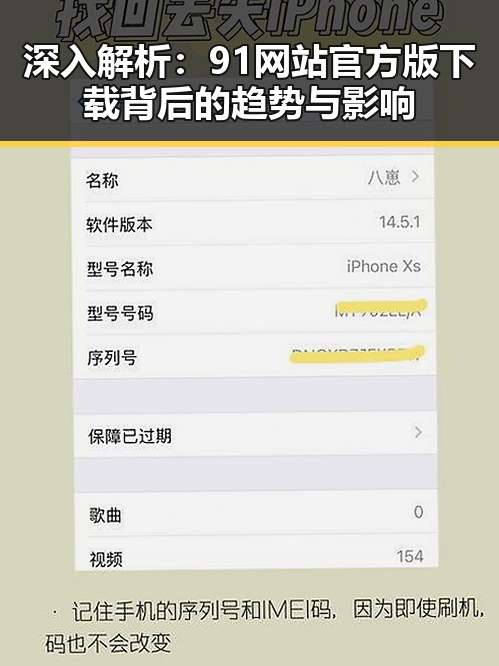 深入解析：91网站官方版下载背后的趋势与影响