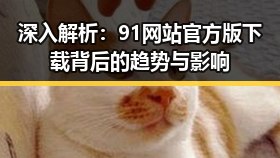深入解析：91网站官方版下载背后的趋势与影响
