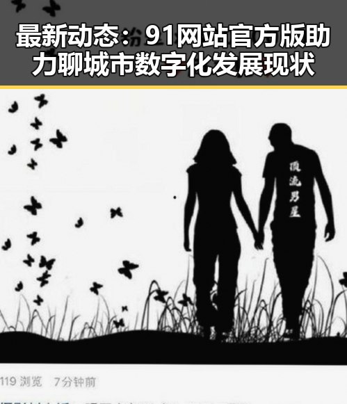 最新动态：91网站官方版助力聊城市数字化发展现状