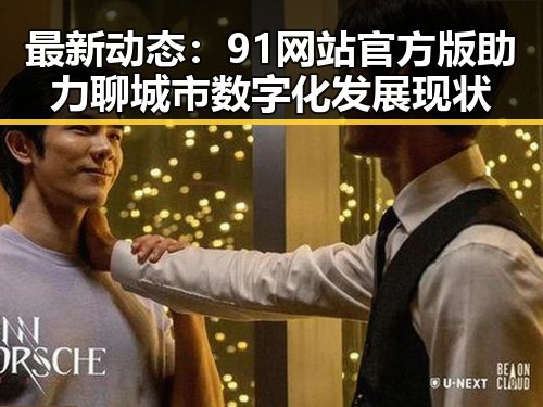 最新动态：91网站官方版助力聊城市数字化发展现状