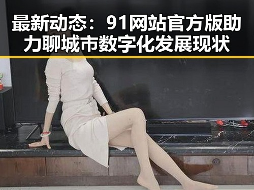 最新动态：91网站官方版助力聊城市数字化发展现状