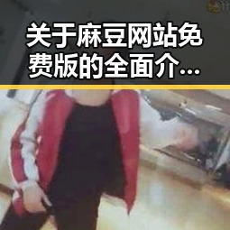 关于麻豆网站免费版的全面介绍与实用指南