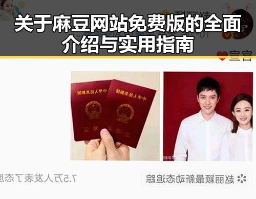 关于麻豆网站免费版的全面介绍与实用指南