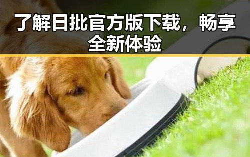 了解日批官方版下载，畅享全新体验