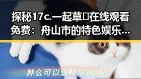 探秘17c.一起草🌿在线观看免费：舟山市的特色娱乐体验