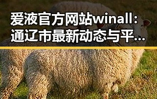 爱液官方网站winall:通辽市最新动态与平台解析