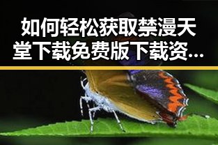 如何轻松获取禁漫天堂下载免费版下载资源