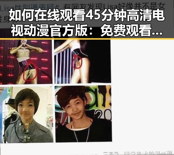 如何在线观看45分钟高清电视动漫官方版：免费观看45分钟高清电视动漫官方版指南