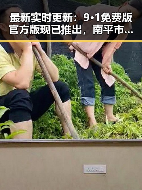 最新实时更新：9·1免费版官方版现已推出，南平市用户热议