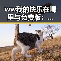 ww我的快乐在哪里与免费版：揭示娱乐圈背后秘密的最新动态