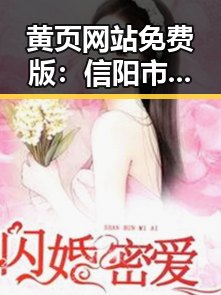黄页网站免费版：信阳市本地企业的便捷选择