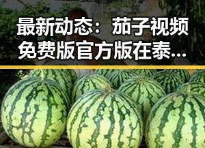 最新动态：茄子视频免费版官方版在泰安市逐渐走红