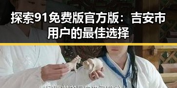 探索91免费版官方版：吉安市用户的最佳选择