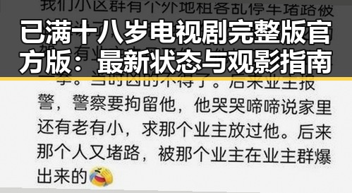 已满十八岁电视剧完整版官方版：最新状态与观影指南