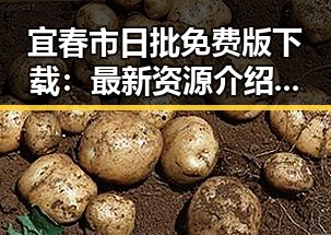 宜春市日批免费版下载：最新资源介绍与安全指南
