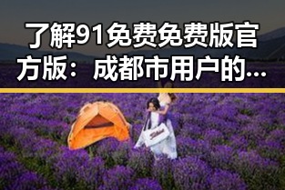 了解91免费免费版官方版：成都市用户的理想选择