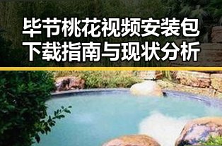 毕节桃花视频安装包下载指南与现状分析