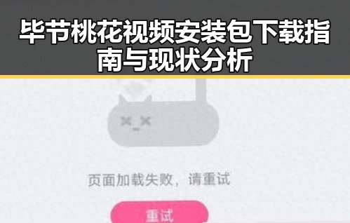 毕节桃花视频安装包下载指南与现状分析