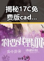 揭秘17C免费版cad网站入口：遂宁市用户的便捷选择