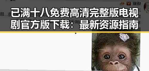 已满十八免费高清完整版电视剧官方版下载：最新资源指南