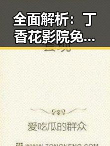 全面解析：丁香花影院免费观看电视剧锦绣未央官方版的现状与发展