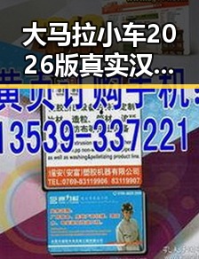大马拉小车2026版真实汉化版：柳州市最新动态与体验分享