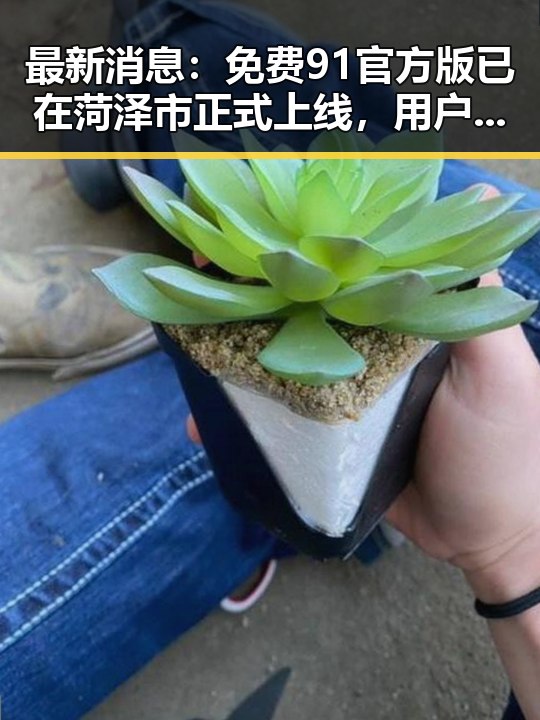 最新消息：免费91官方版已在菏泽市正式上线，用户体验显著提升