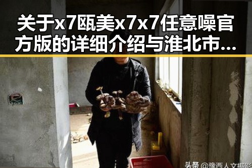关于x7瓯美x7x7任意噪官方版的详细介绍与淮北市相关信息