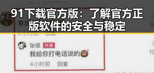 91下载官方版：了解官方正版软件的安全与稳定
