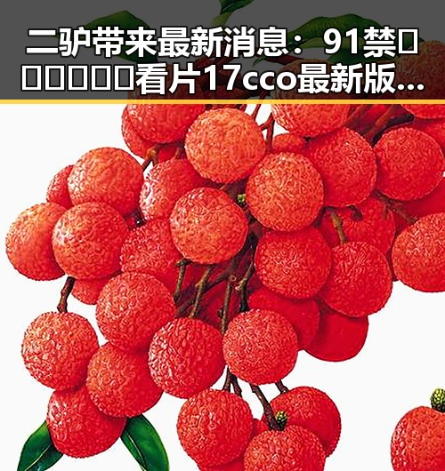 二驴带来最新消息：91禁🍆🍑🔞❌❌❌看片17cco最新版下载引发热议