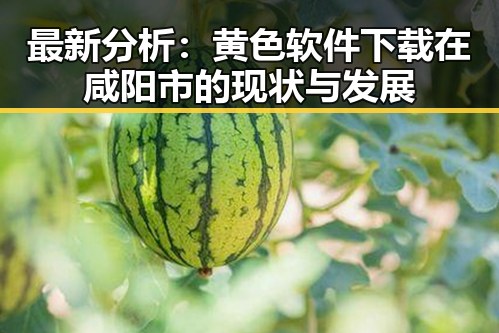 最新分析：黄色软件下载在咸阳市的现状与发展