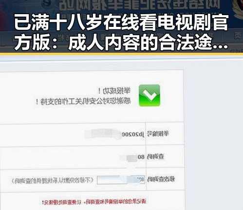 已满十八岁在线看电视剧官方版：成人内容的合法途径与安全指南