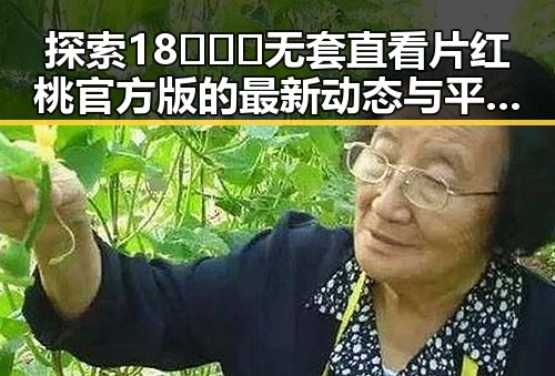 探索18❌❌❌无套直看片红桃官方版的最新动态与平台选择