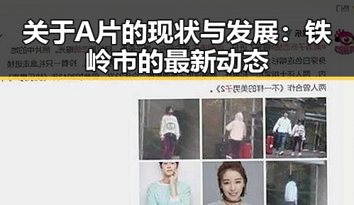 关于A片的现状与发展：铁岭市的最新动态