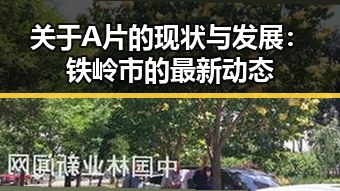 关于A片的现状与发展：铁岭市的最新动态