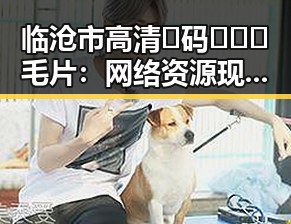 临沧市高清🈚码🔞❌♋毛片：网络资源现状与选择指南