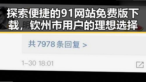 探索便捷的91网站免费版下载，钦州市用户的理想选择