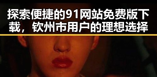 探索便捷的91网站免费版下载，钦州市用户的理想选择