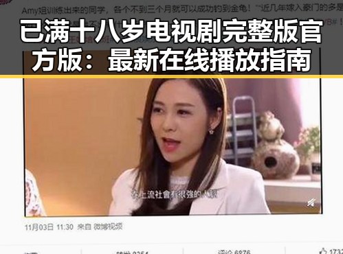 已满十八岁电视剧完整版官方版:最新在线播放指南
